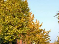 -西南民族大学南区(双流校区)