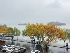 -楼外楼(西湖景区孤山路店)