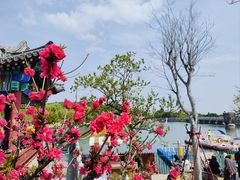 -泰山风景名胜区-虎山公园