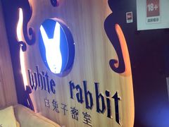 -白兔子密室(长寿路店)