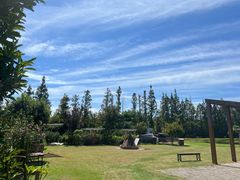 -前小桔亲子创意农场·草莓采摘·露营烧烤