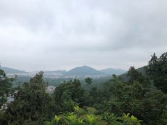 -云龙山