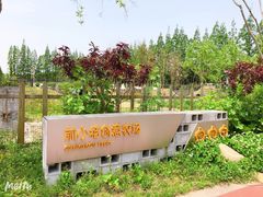 -前小桔亲子创意农场·草莓采摘·露营烧烤