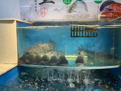 -屯老二农家铁锅炖·行业领军者(梅江店)