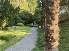 -环城公园-琥珀潭