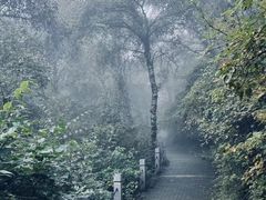 -云顶山风景区