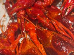 -巴厘龙虾·榜首油焖大虾(洞庭·艺术洋房店)