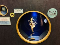 -西海国立公园九十九岛水族馆