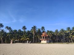 -东郊椰林
