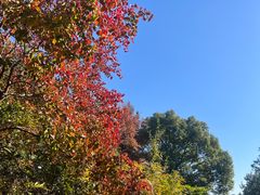 -虞山风景区
