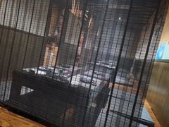 -明日叶日本料理(新区淮海街店)