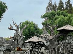 -上海野生动物园