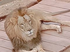 -昆明动物园