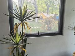 -Supine Bistro溯泮餐厅