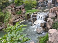 -天鹅湖体育公园