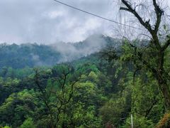 -青城山