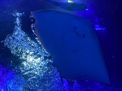 -沈阳海洋探索中心