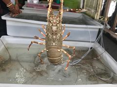 -拉威海鲜市场