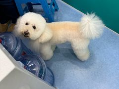 -博特宠物医院24h犬猫全科.骨科·异宠