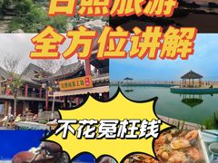 -渡海小渔村.老辈日照菜