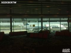 -新加坡航空公司(ION)