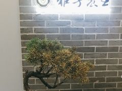 -雅享养生·中医调理·筋骨艾灸(广兰路店)