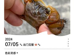 -上海怡沁园度假酒店