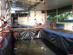 大堂-小象钓虾·营地烧烤(洛溪店)