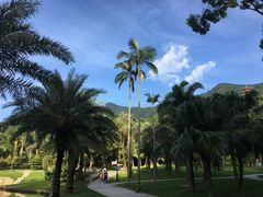 -深圳仙湖植物园-停车场