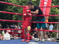 -大焱搏击·泰拳·拳击俱乐部(大柏树店)