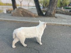 -长春市南湖公园