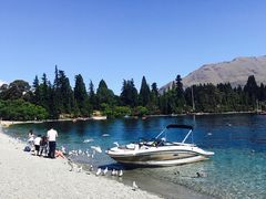 -Patagonia Chocolates(皇后镇店)