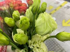 -宝鸡东道花鸟鱼虫市场(吉利花园商场店)