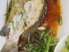 蒸魚-美居大酒楼(美居广场店)