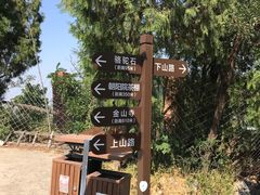 -阳台山自然风景区