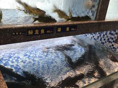 -格塘人家·山泉水煮鱼(望兴家园店)