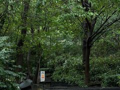 -南京市江宁方山