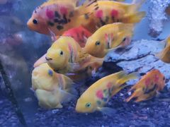 -潮粥馆(长江花园店)