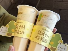 -猫的魔法密林(衣裳街店)