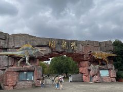 -上海海湾国家森林公园