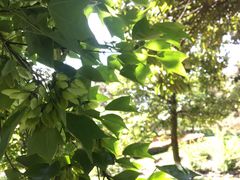 -白塘生态植物园