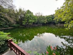 -望江楼公园