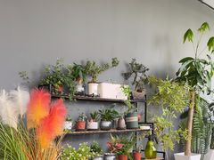 -博纳私人订制健身(中集美兰湖店)