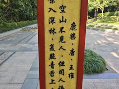 -月亮湾公园