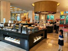 -常州武进九洲喜来登酒店