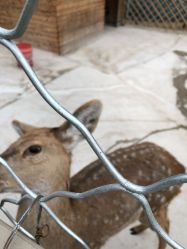 -萌宠亲子动物乐园(槐房万达店)