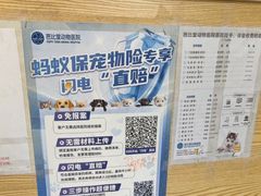 -芭比堂动物医院·心脏科·老年急重症·夜诊·吉雅分院