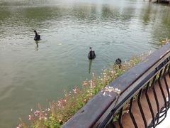 iphone_upload_pic-东部华侨城
