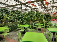 -南宫五洲植物乐园