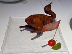 -侨美食家·40年地道粤菜(珠江新城店)